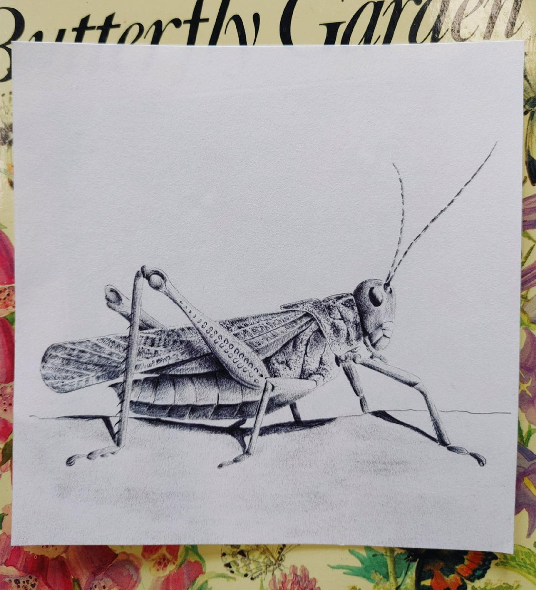 Let's Try Letterpress