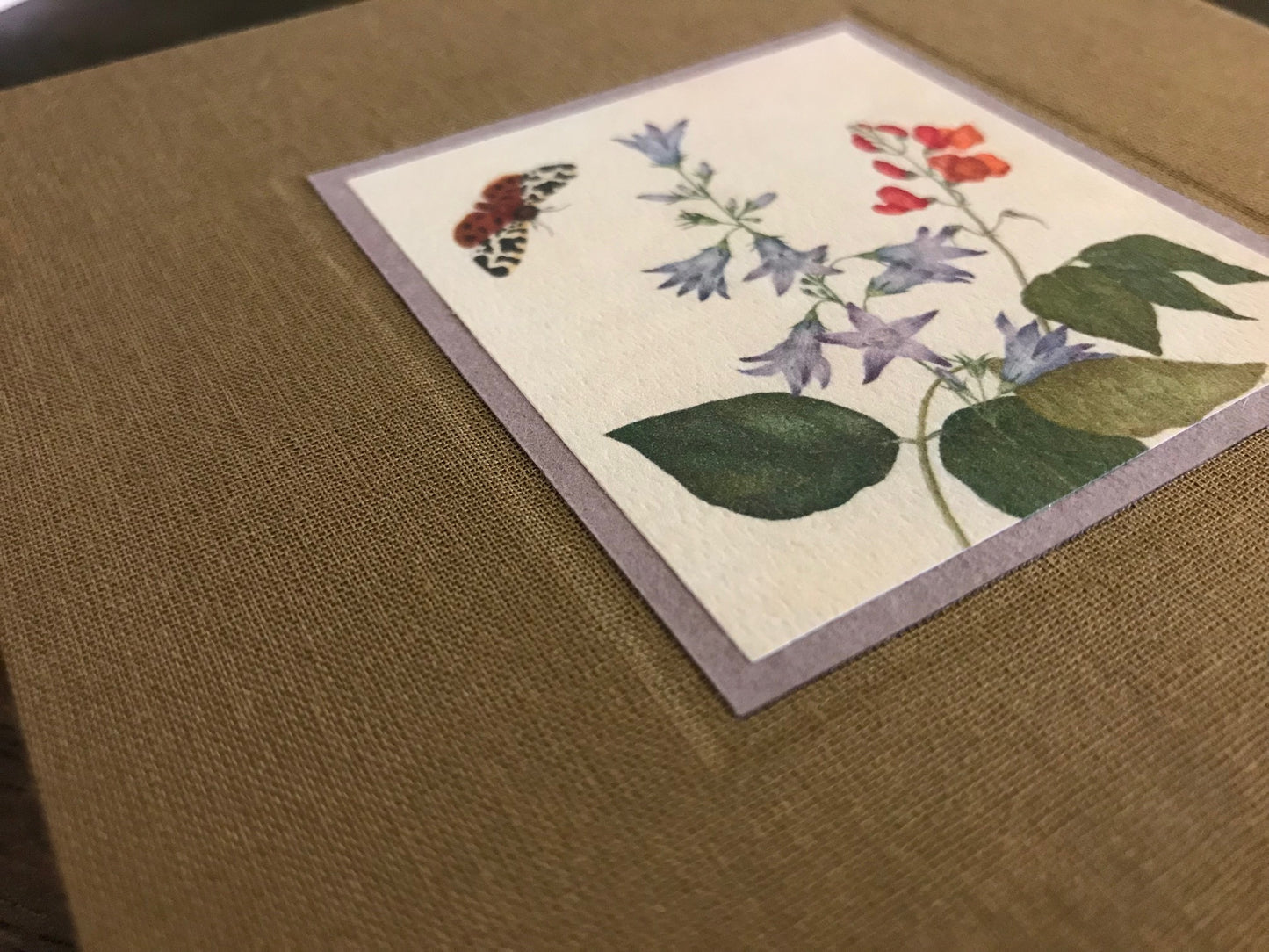 Lady Susan by Jane Austen