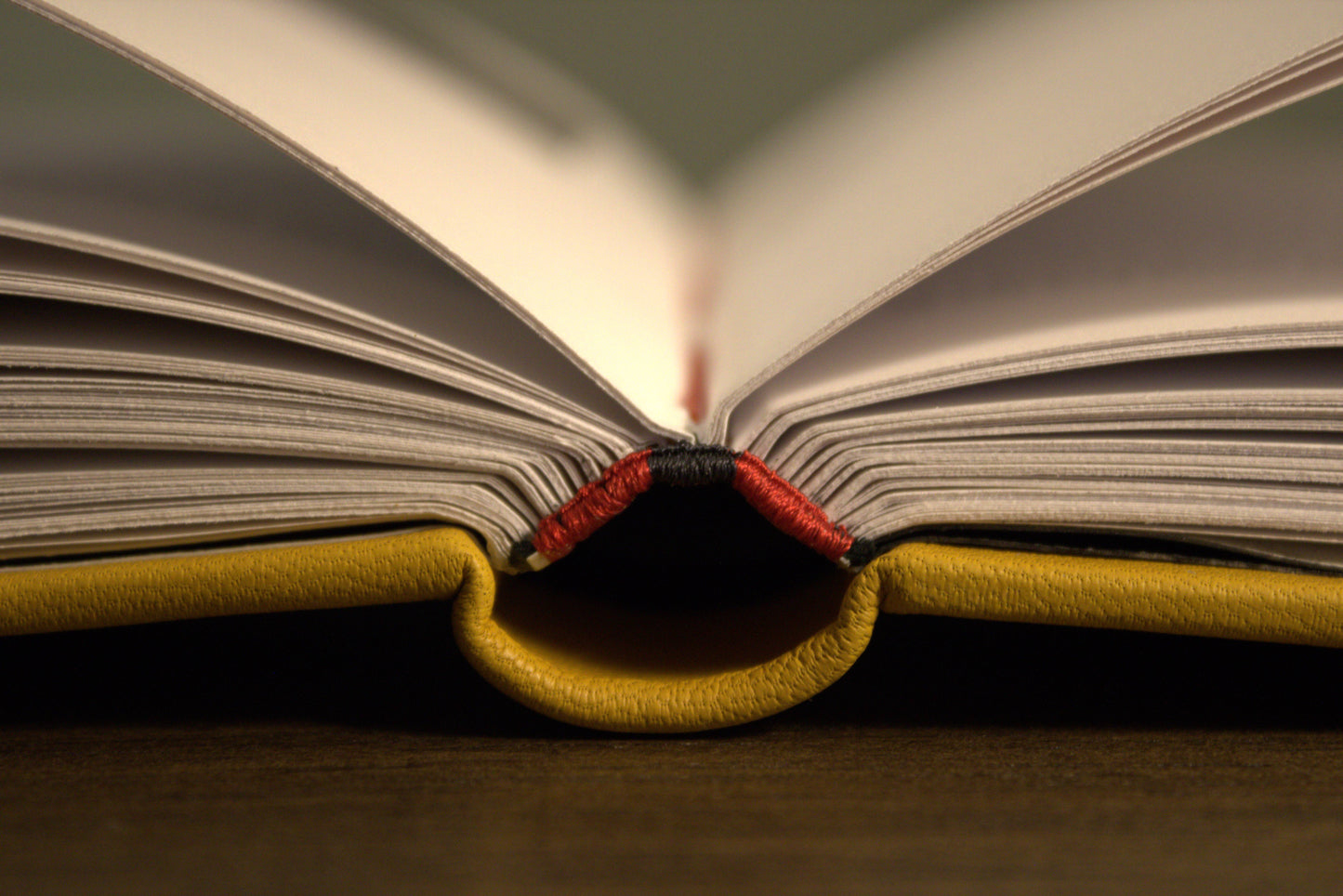 In Our Time (Lettered Edition)