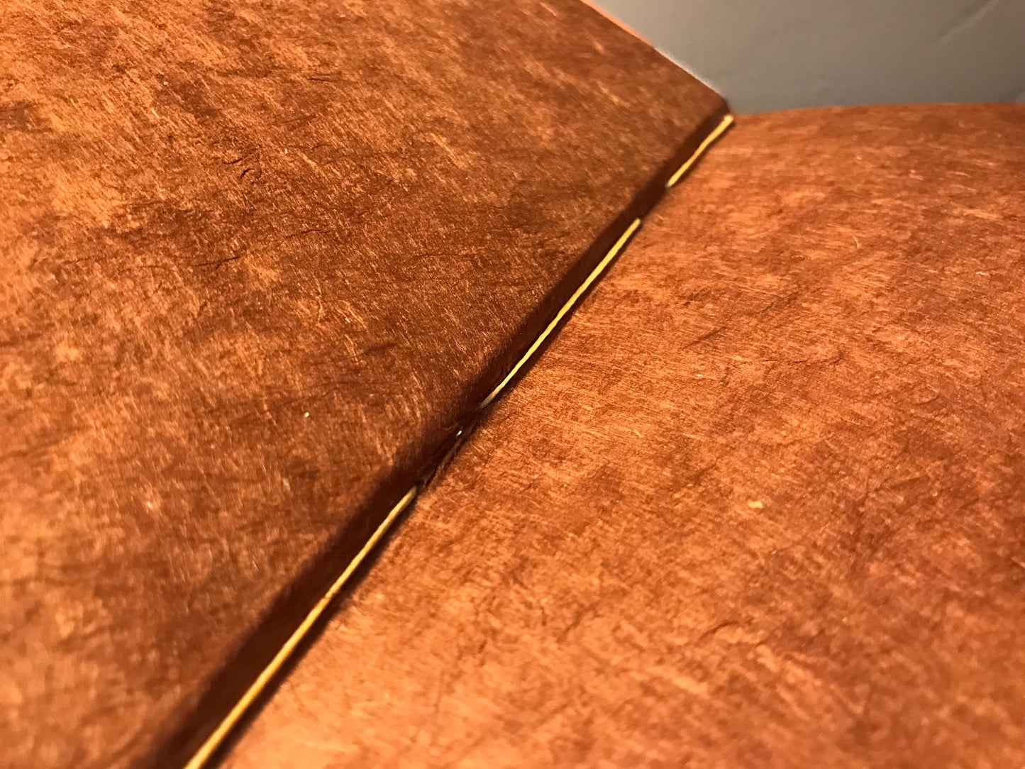 The Sun Also Rises (Numbered Edition)