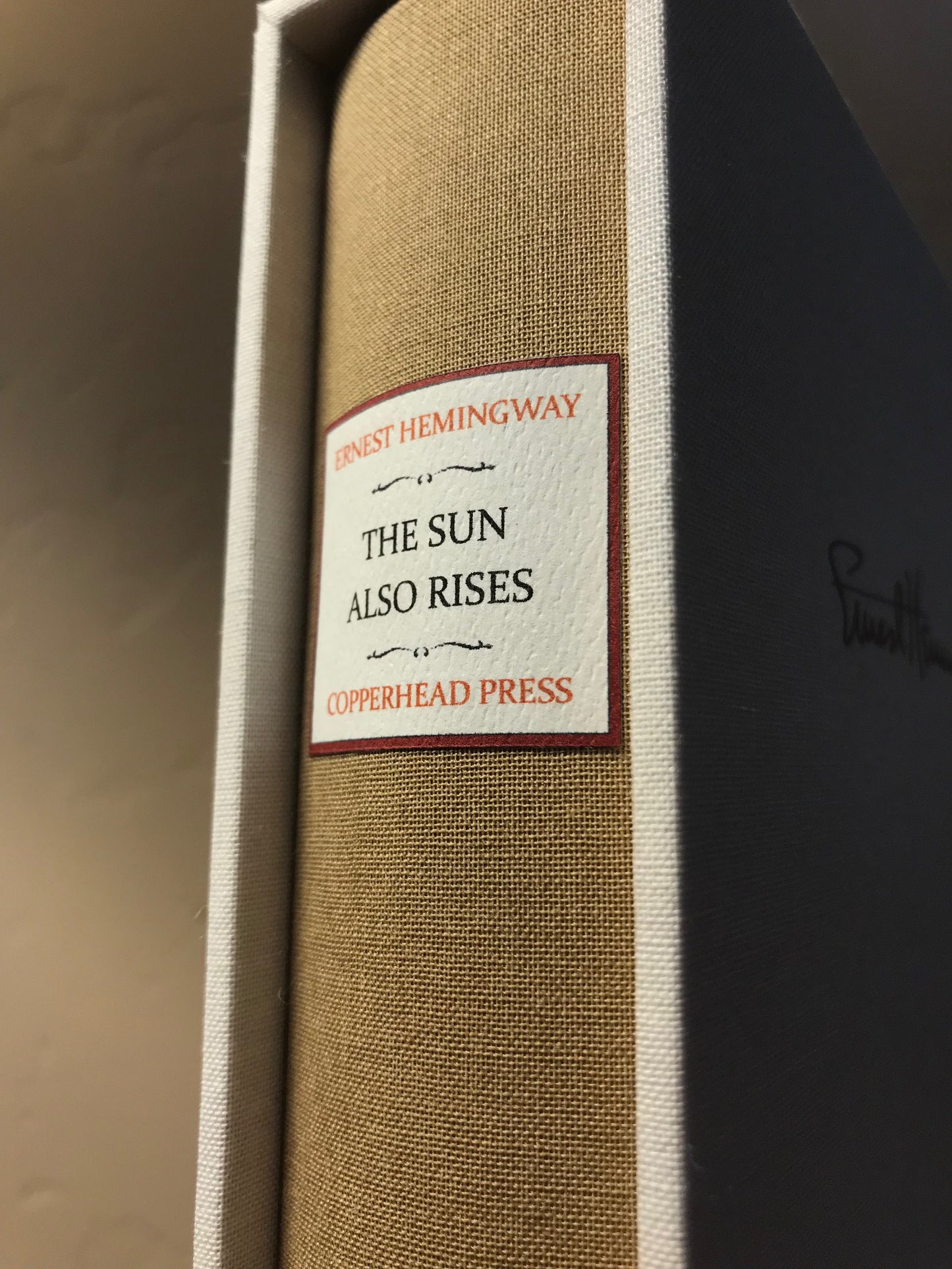 The Sun Also Rises (Cloth)