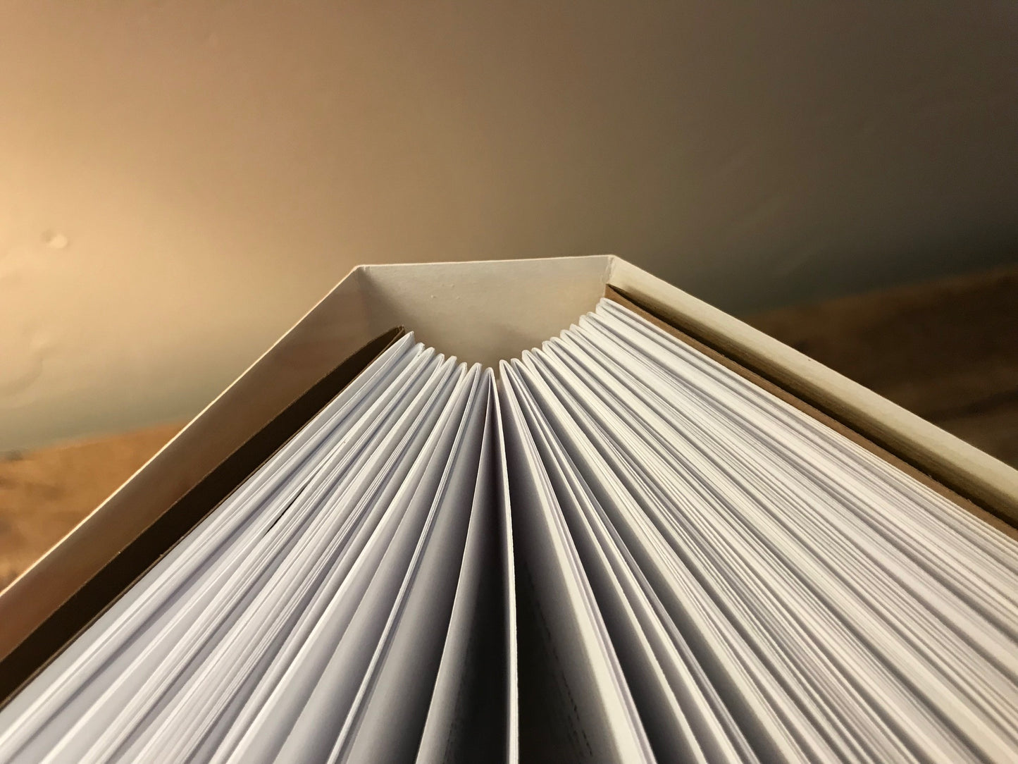 The Sun Also Rises (Paste Paper)