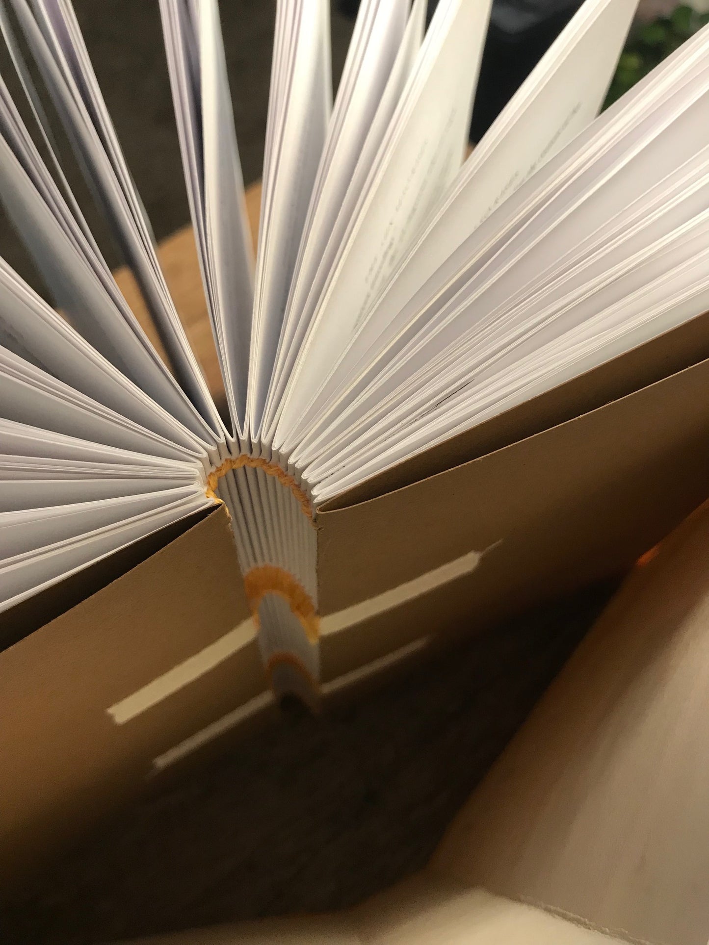 The Sun Also Rises (Paste Paper)